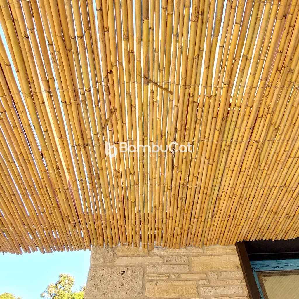 Bambu Kamış
