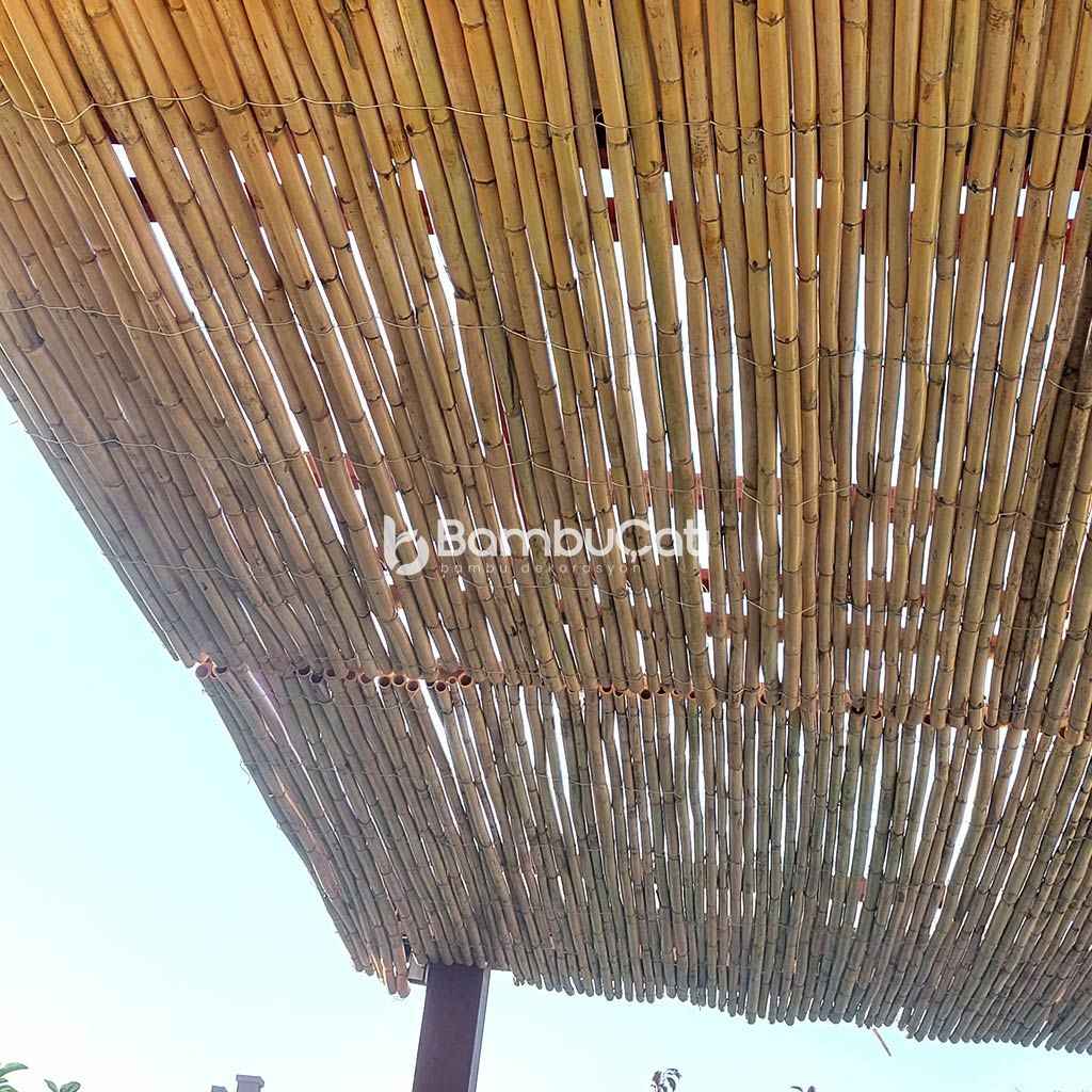 Bambu Çatı Kaplama